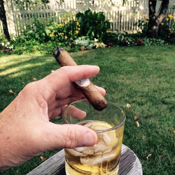 Meet your Posher, Philip - Picture 1 of 1